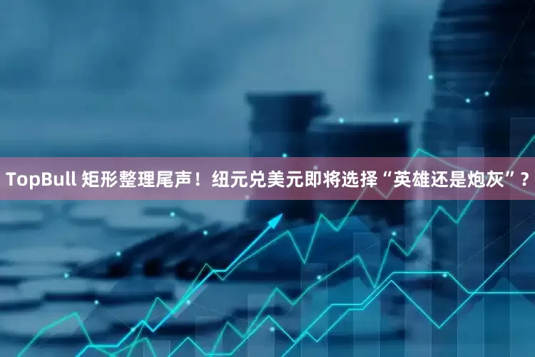 TopBull 矩形整理尾声！纽元兑美元即将选择“英雄还是炮灰”？