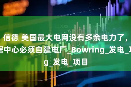 信德 美国最大电网没有多余电力了，数据中心必须自建电厂_Bowring_发电_项目