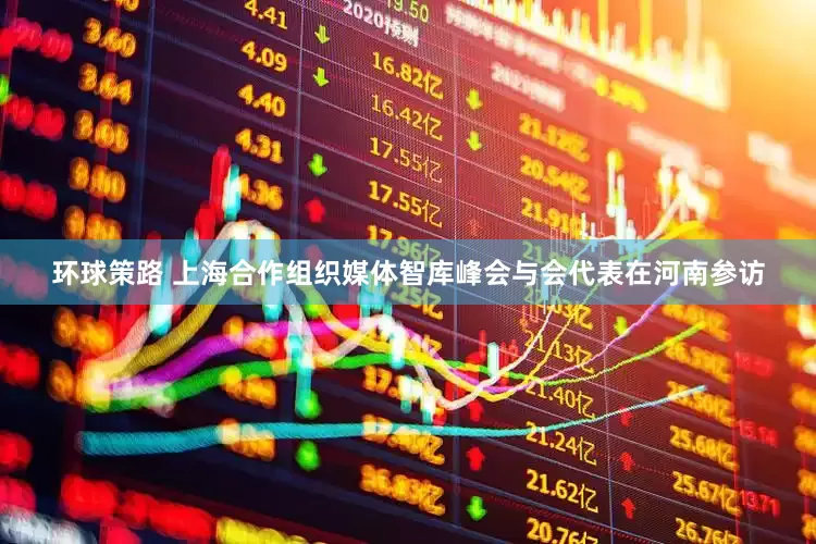 环球策路 上海合作组织媒体智库峰会与会代表在河南参访