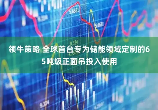 领牛策略 全球首台专为储能领域定制的65吨级正面吊投入使用
