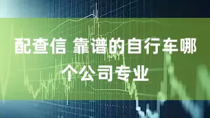 配查信 靠谱的自行车哪个公司专业