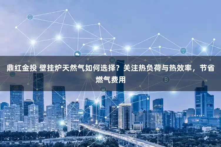 鼎红金投 壁挂炉天然气如何选择？关注热负荷与热效率，节省燃气费用